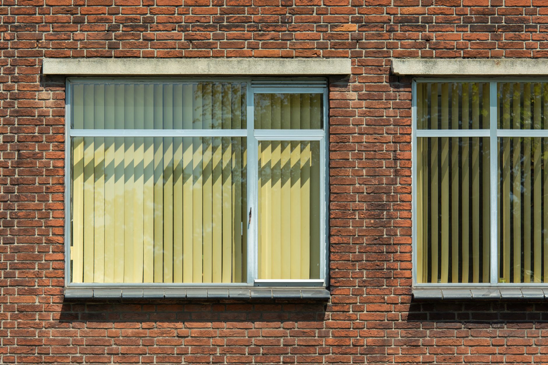 shutters behind windows