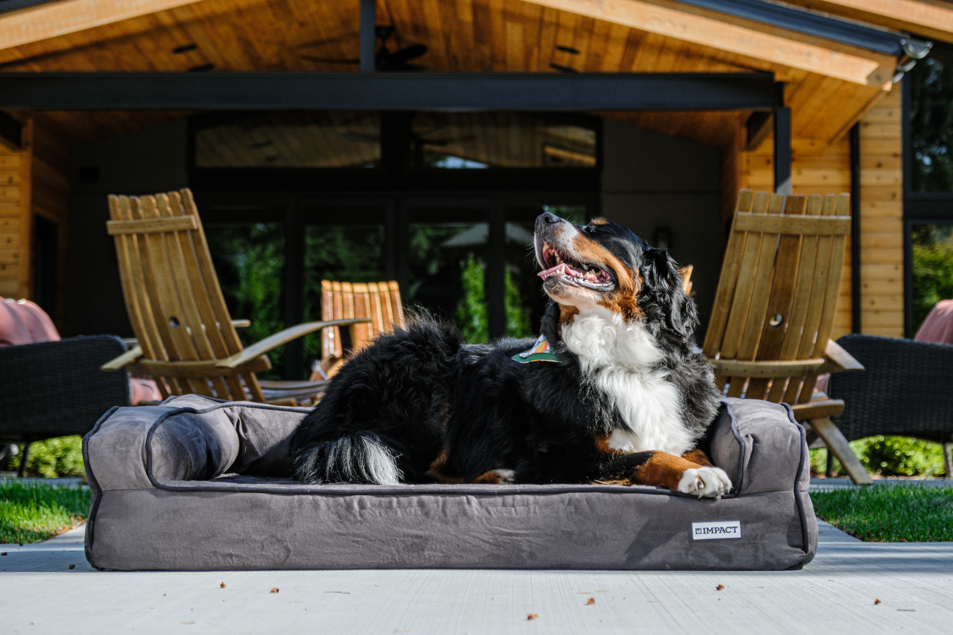 Beautyrest Lux Lounger Couch Pet Bed