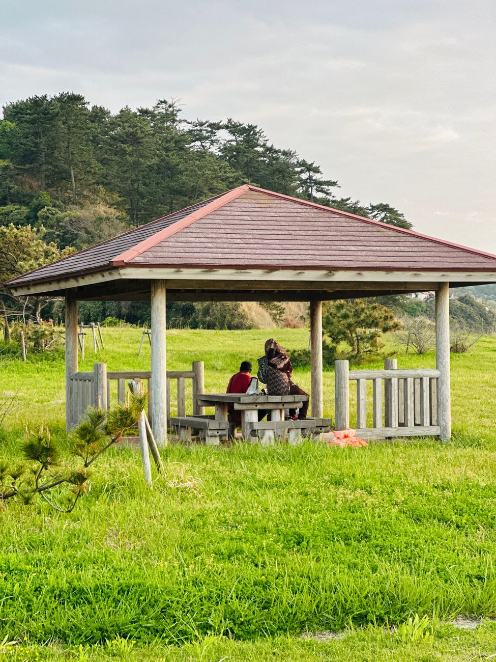 Gazebo with a Dining Area