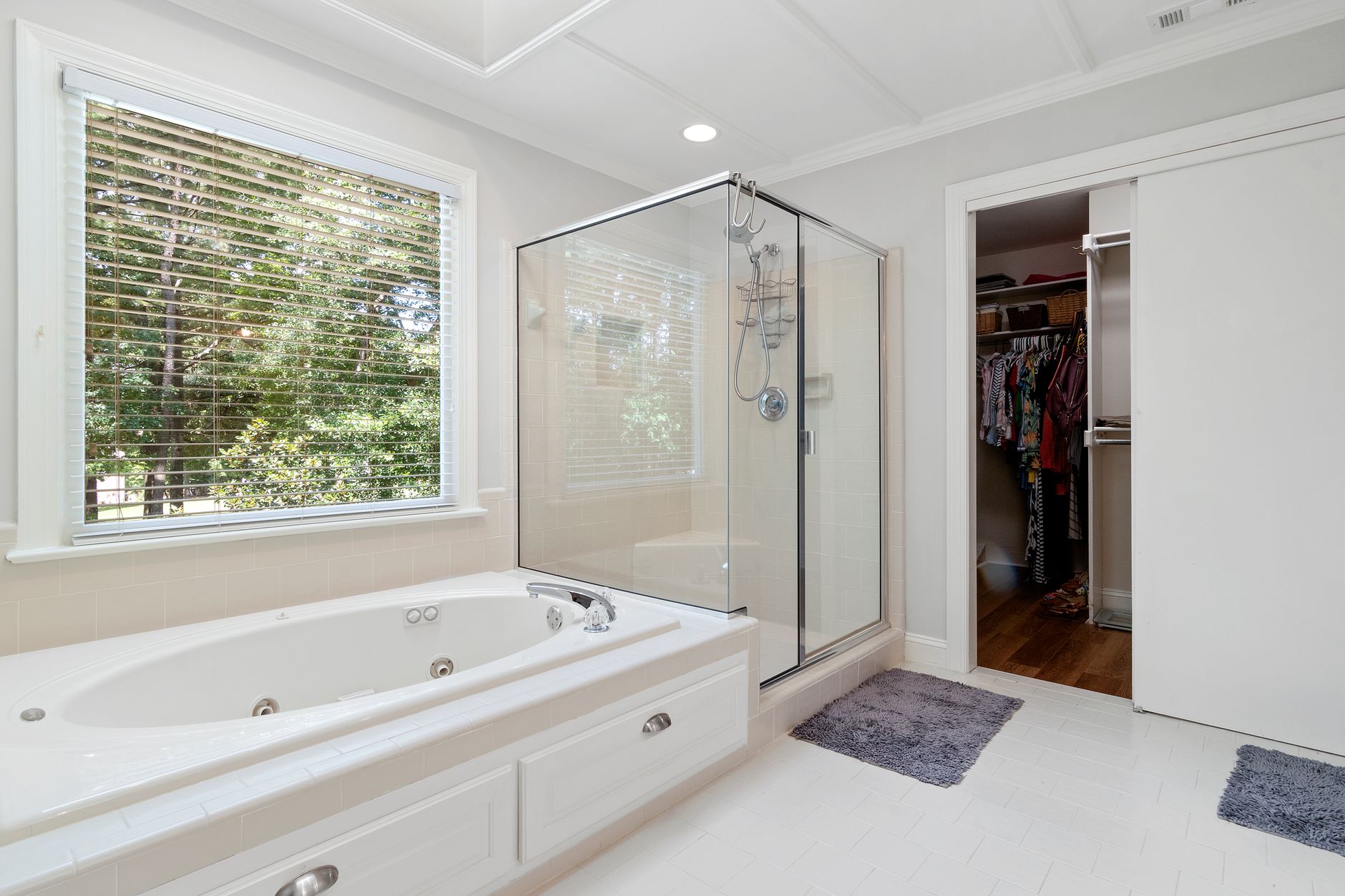 Doorless Walk-In Shower Ideas