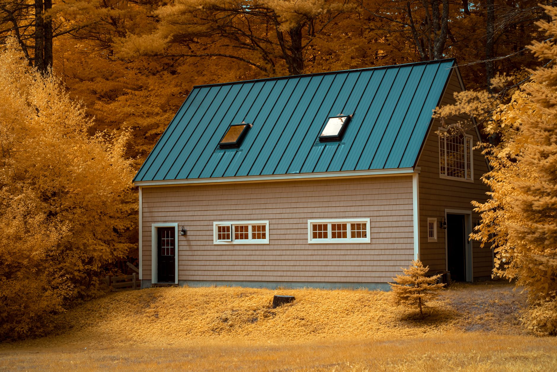 house surrounded with trees