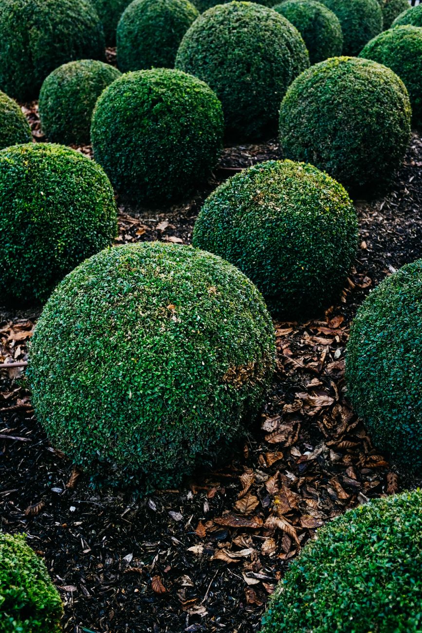 Display Decorative Garden Spheres