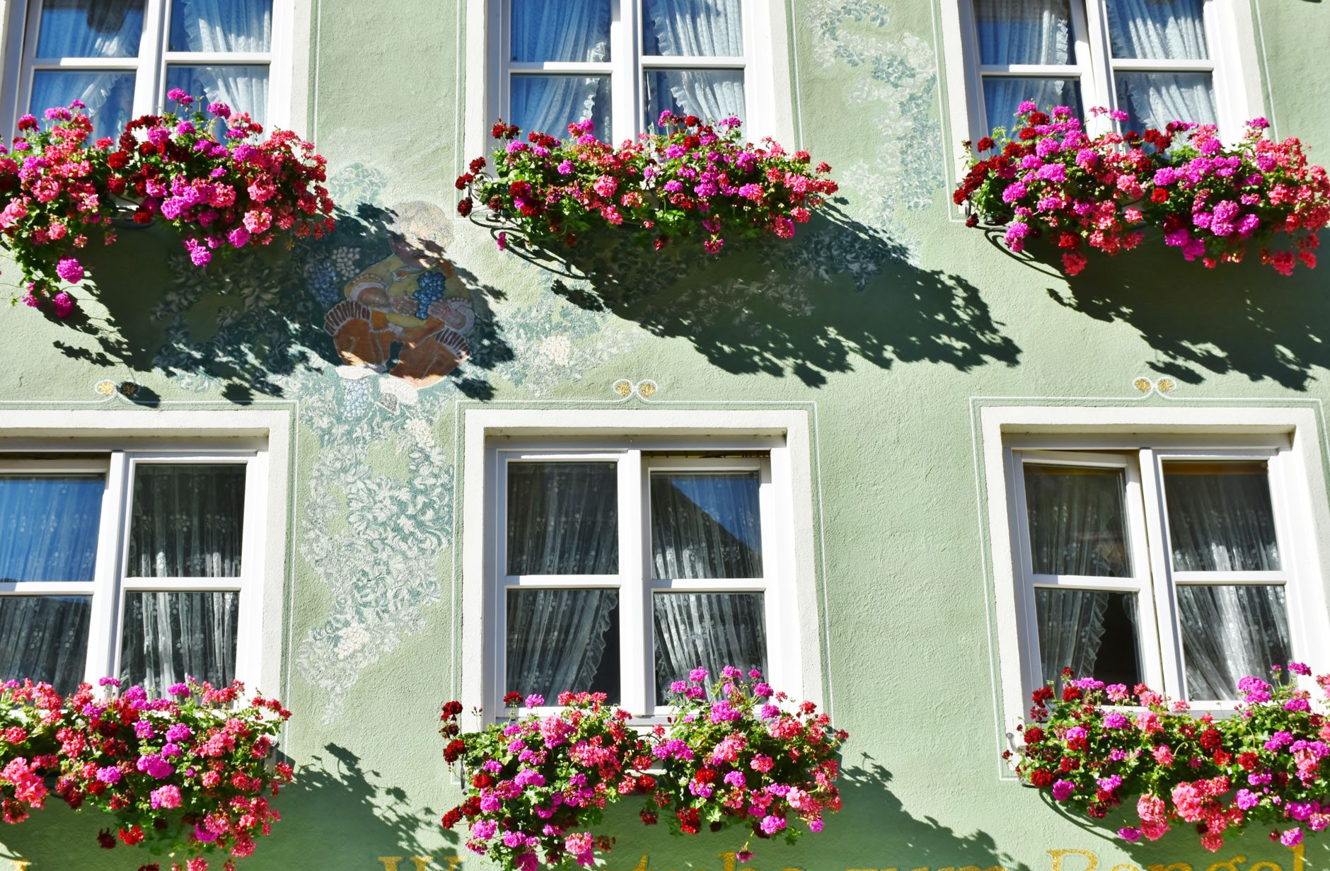 red pink flower hang on the windows