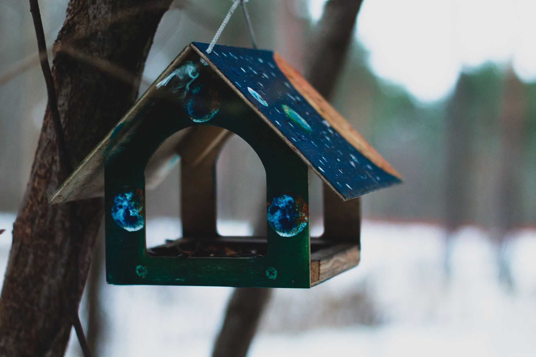 Hanging up a cute Birdhouse