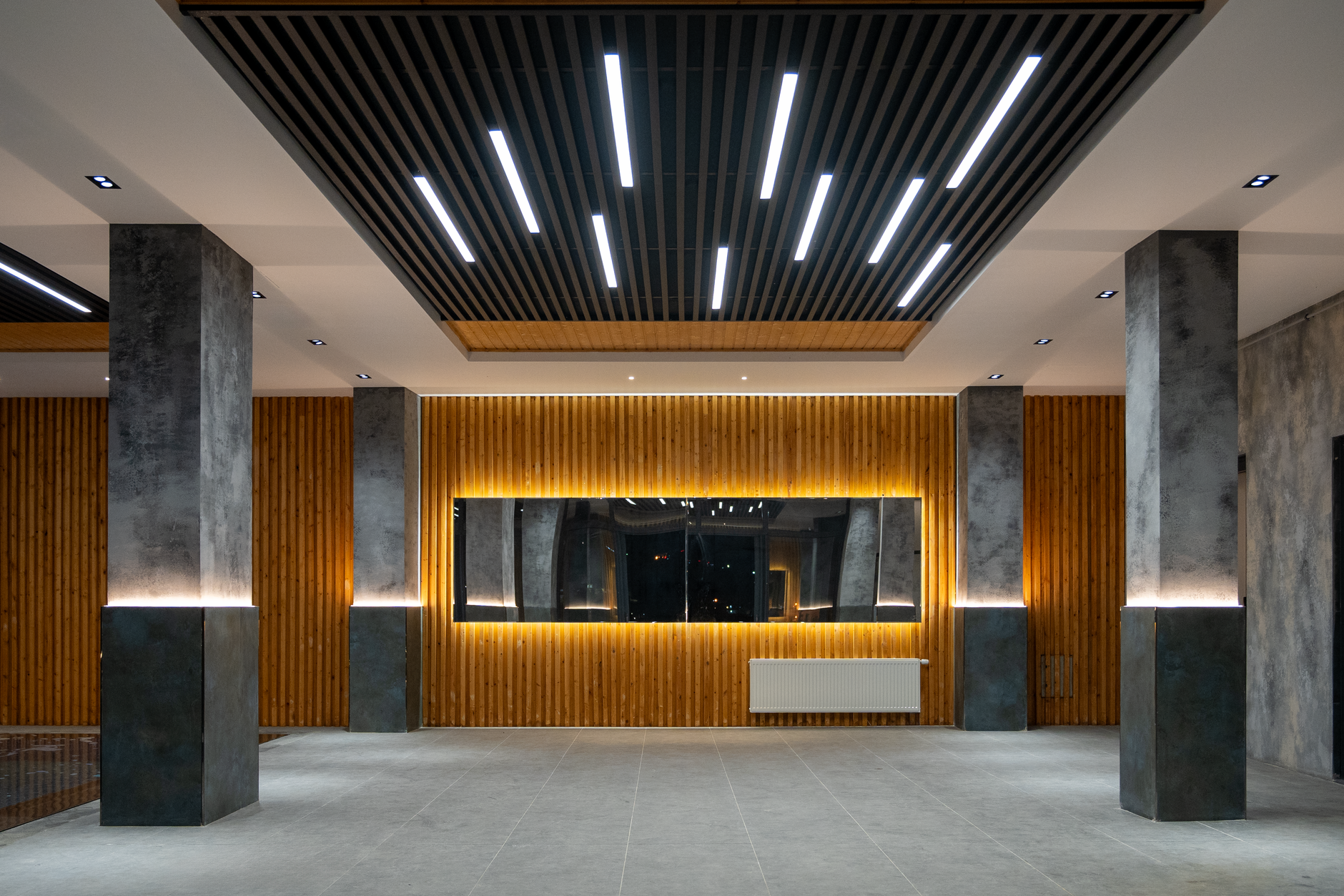 Stretch Ceilings and Modern Panel Systems