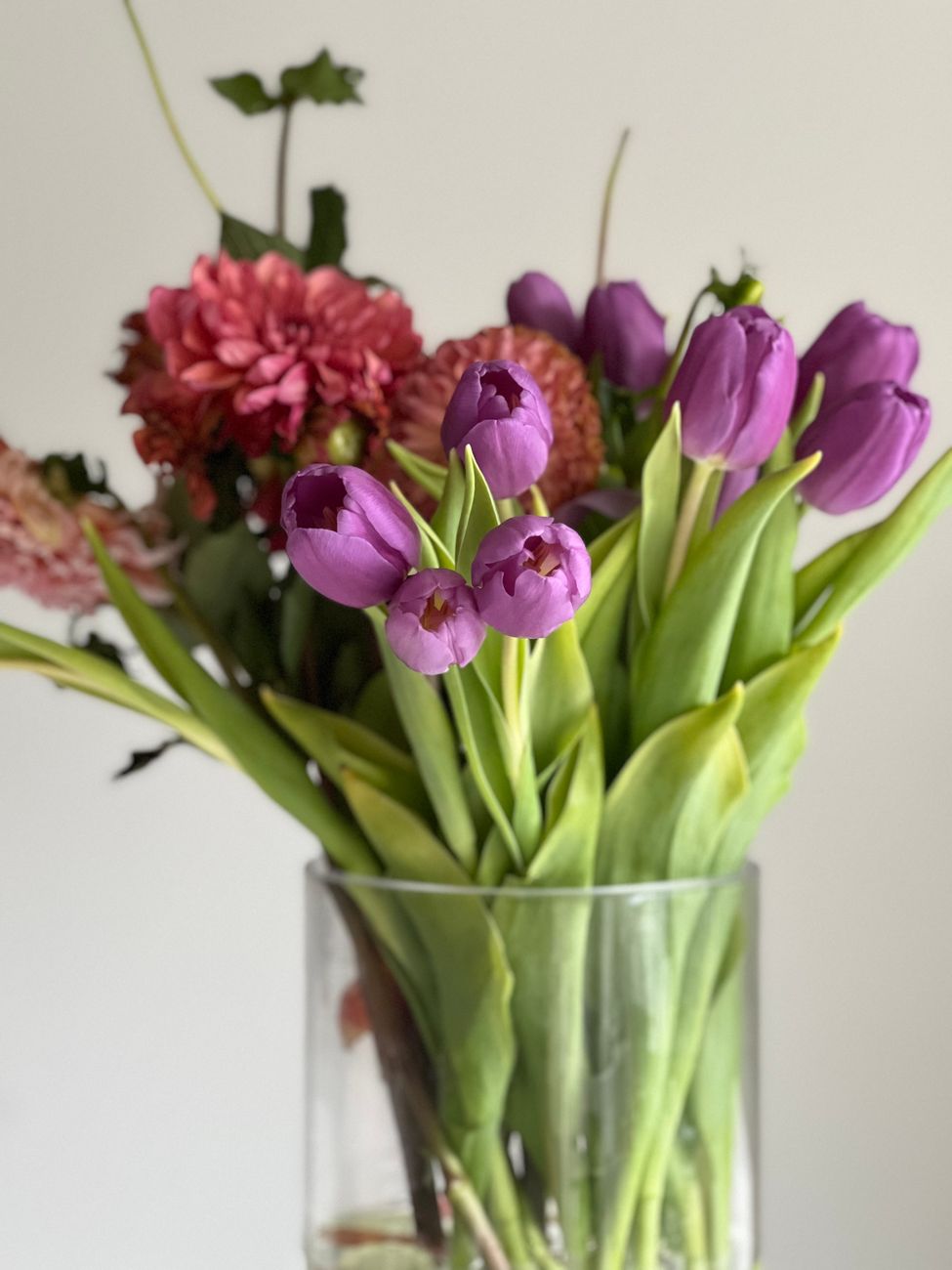 How to keep cut flowers fresh longer