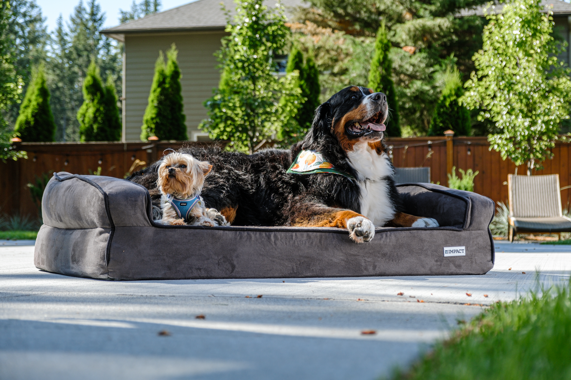 What materials make a difference in Arlee pet products' saddle sofa memory foam pet bed?