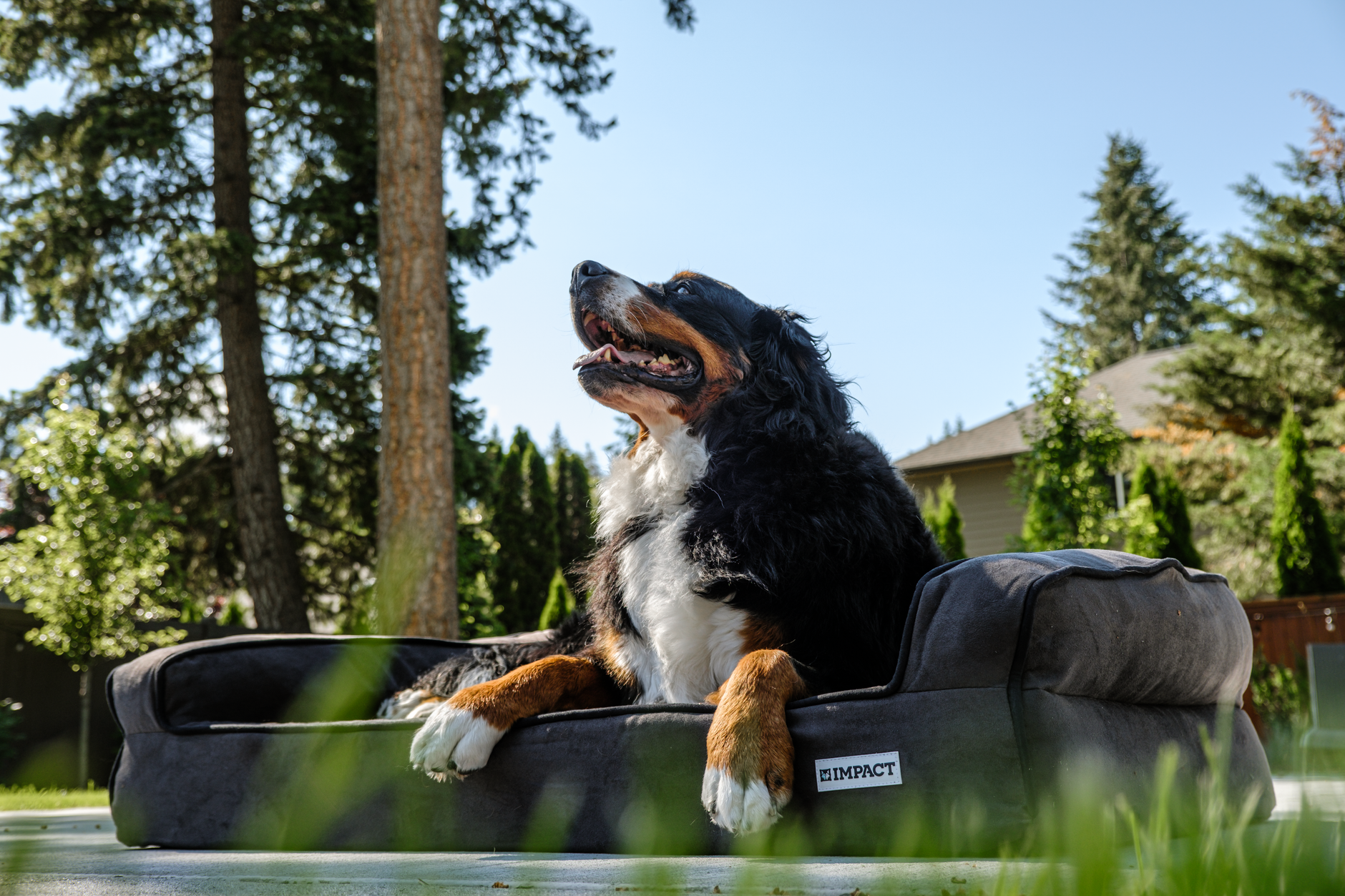  Arlee pet products saddle sofa memory foam pet bed: