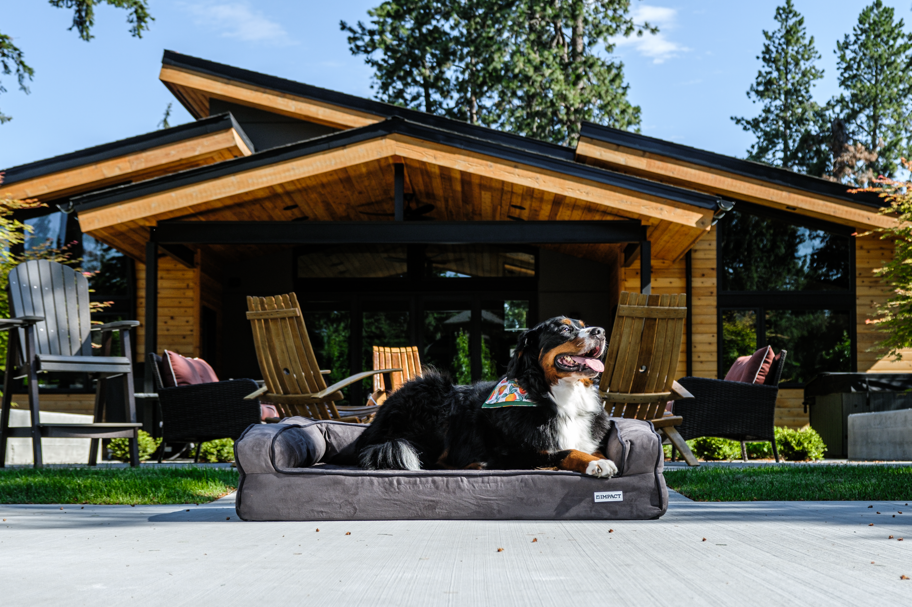 How to choose the Arlee pet products saddle sofa memory foam pet bed: