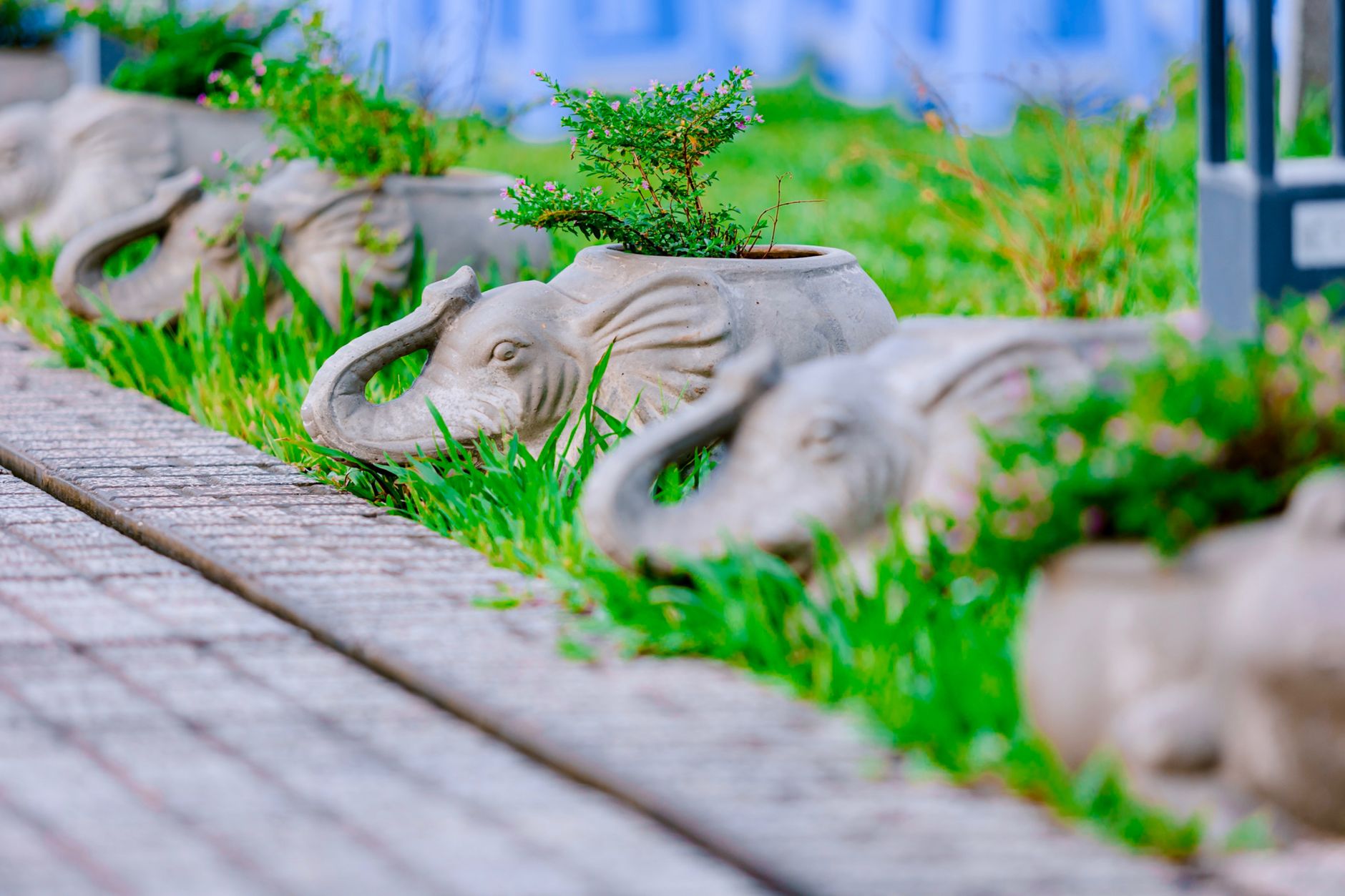 elephant planters in garden setting
