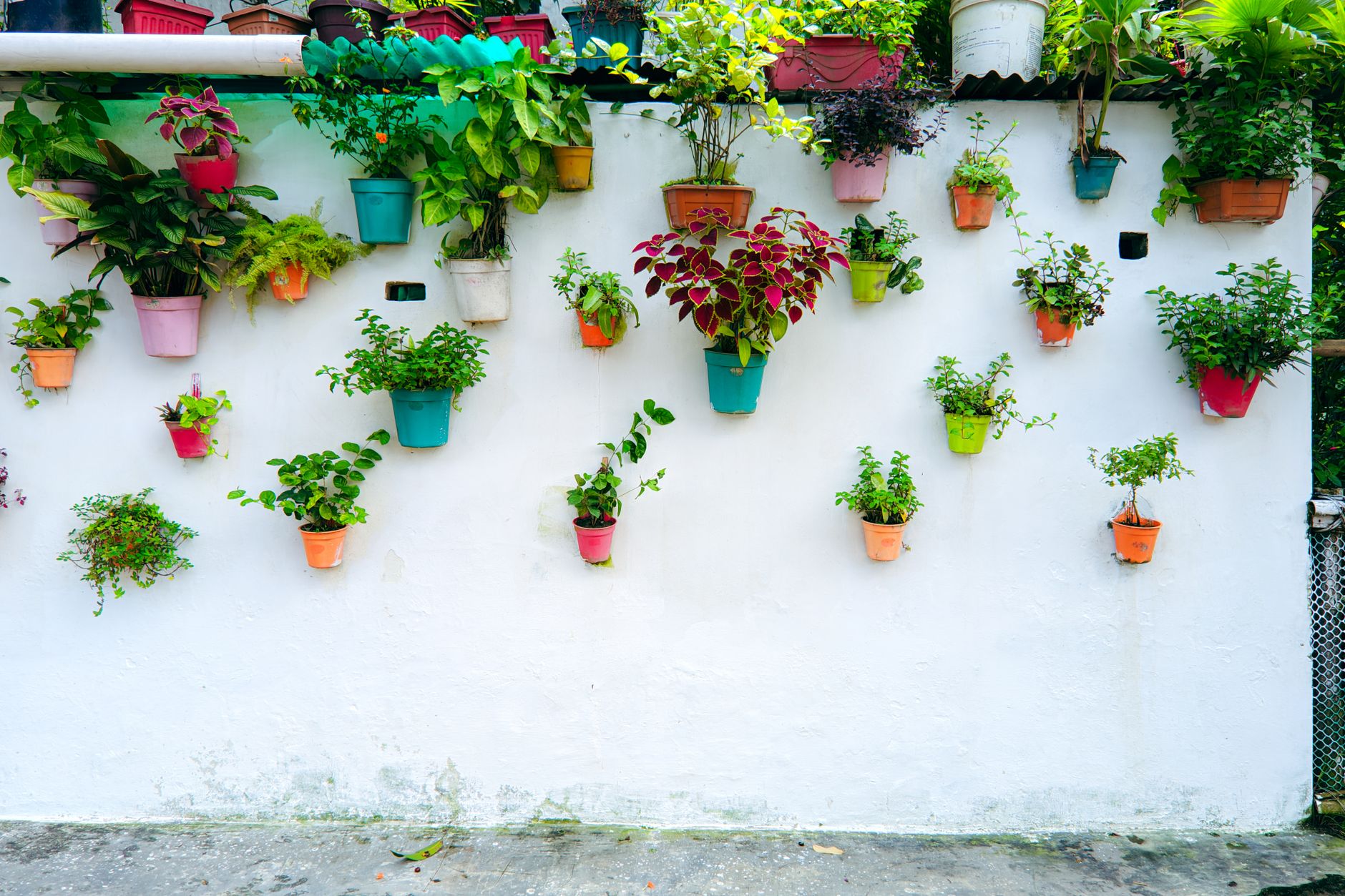 colorful vertical garden wall with potted plants