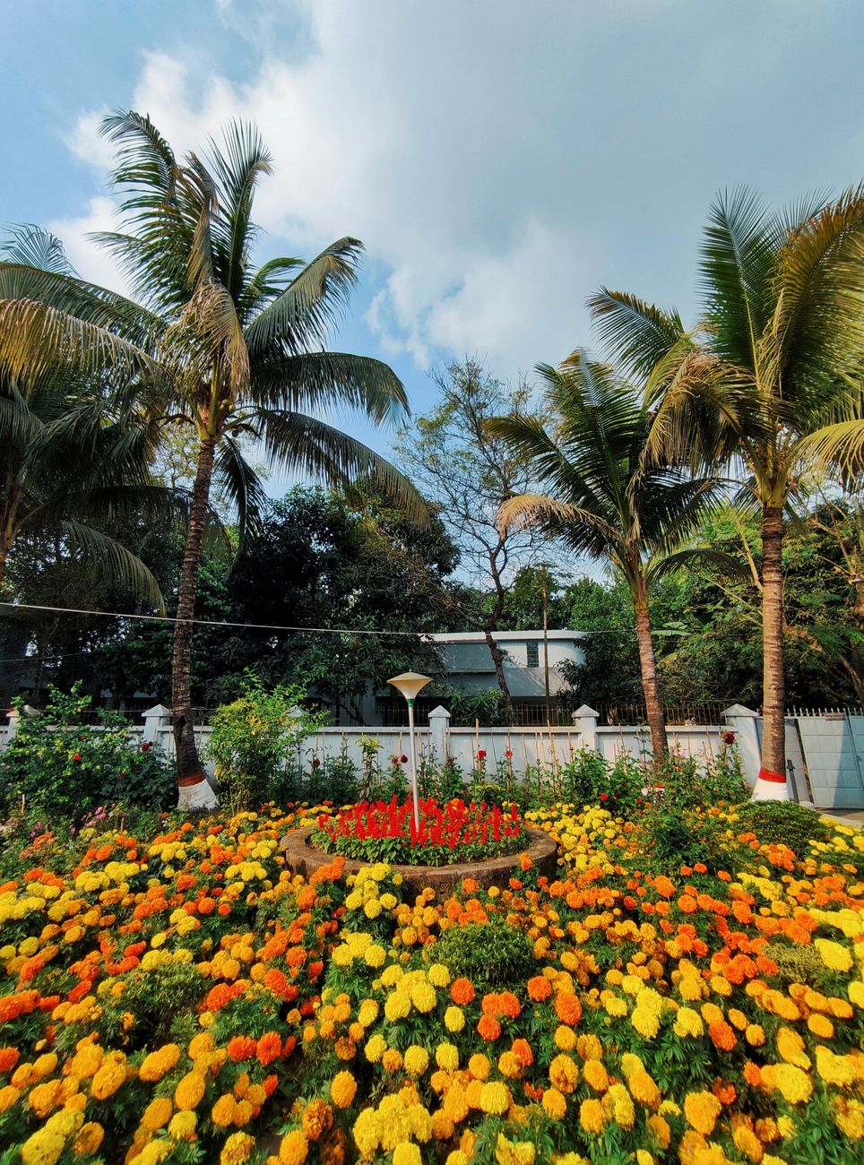 Front Yard Flower Bed