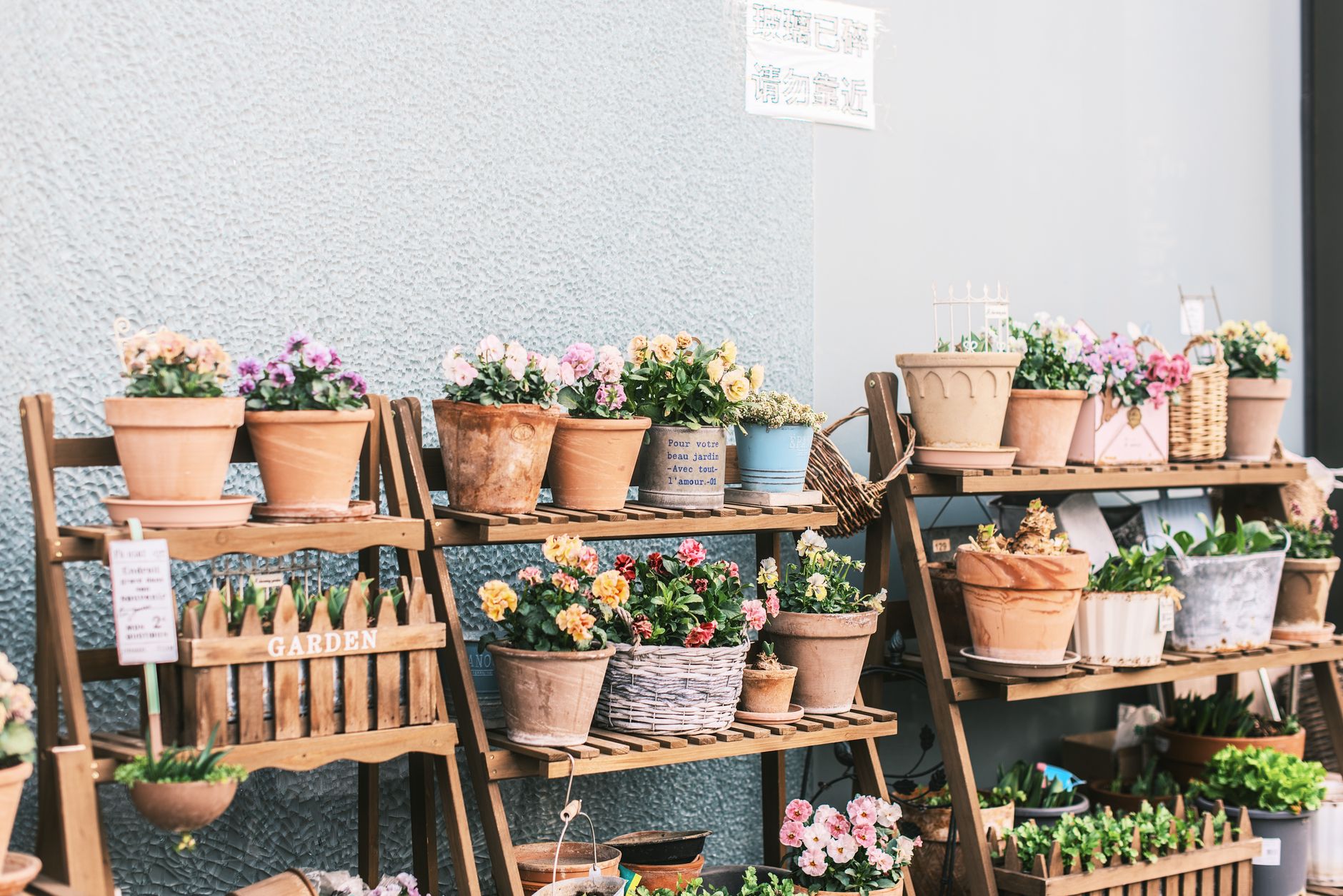 colorful flower pots displayed on wooden racks