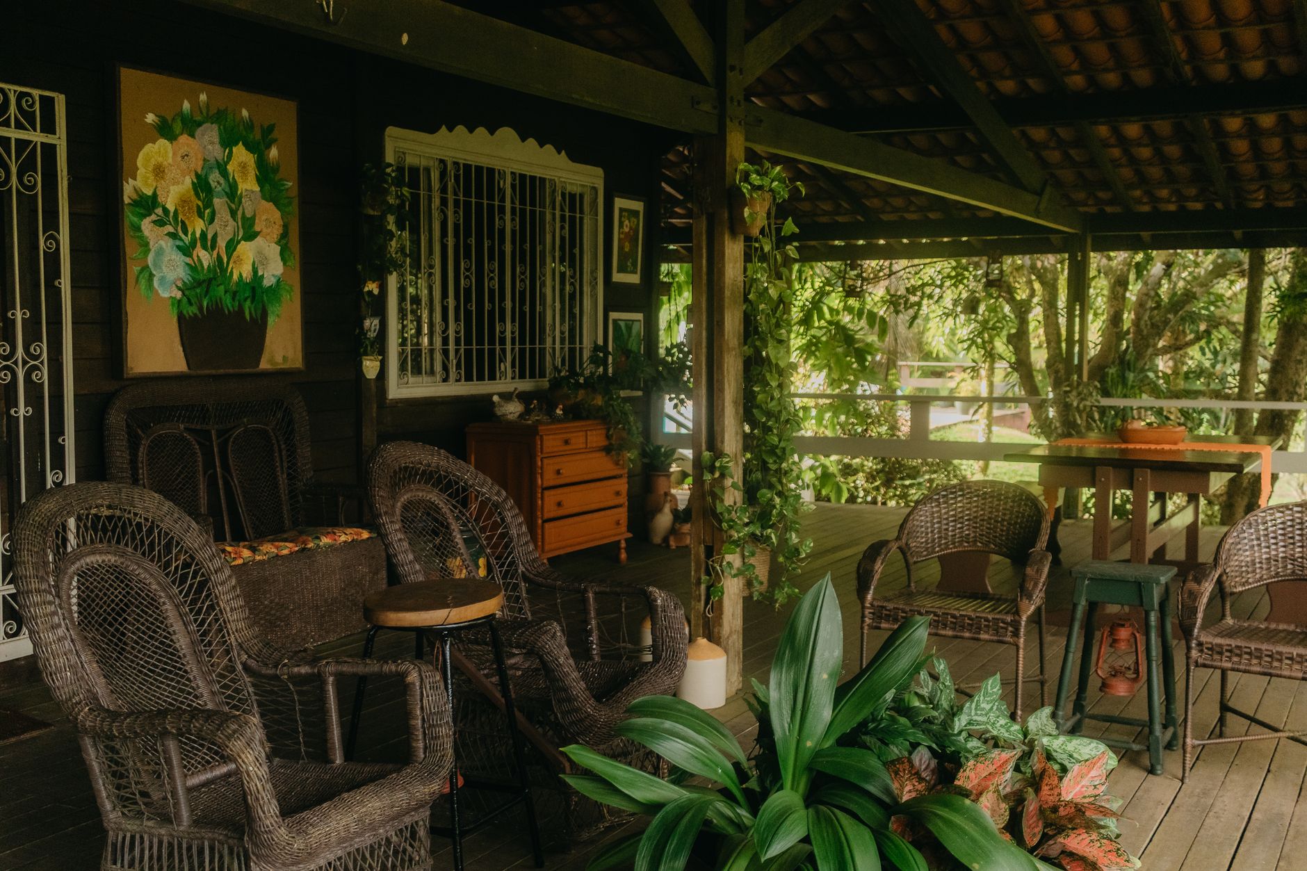 Your Back Porch 