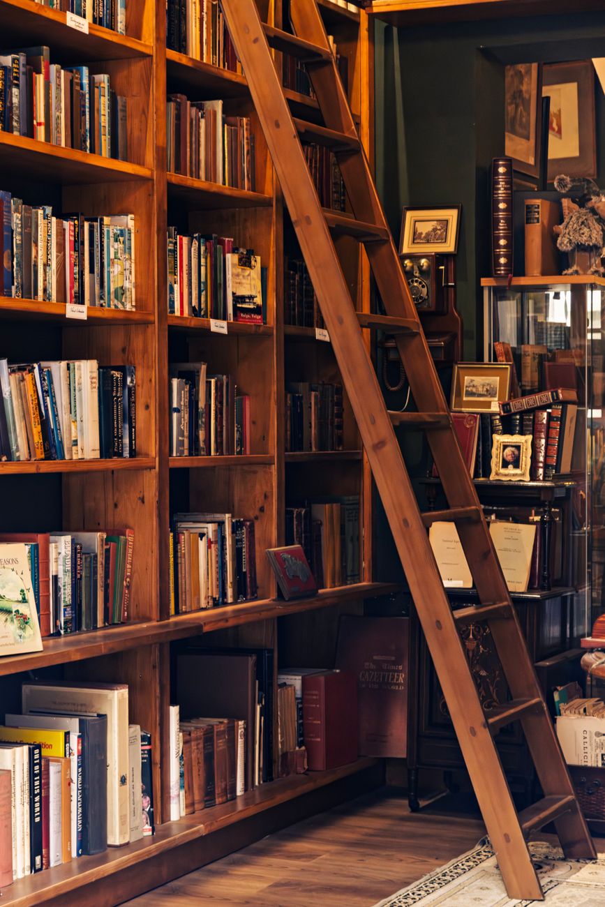 cozy vintage library with wooden ladder