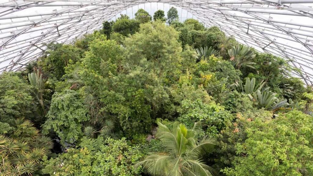 Tropical Biodome