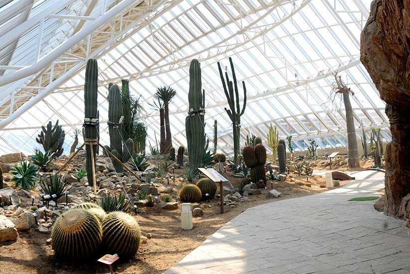 Desert Biodome