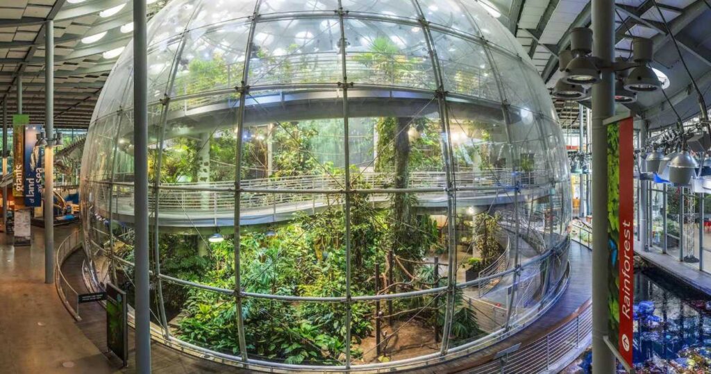Forest Biodome