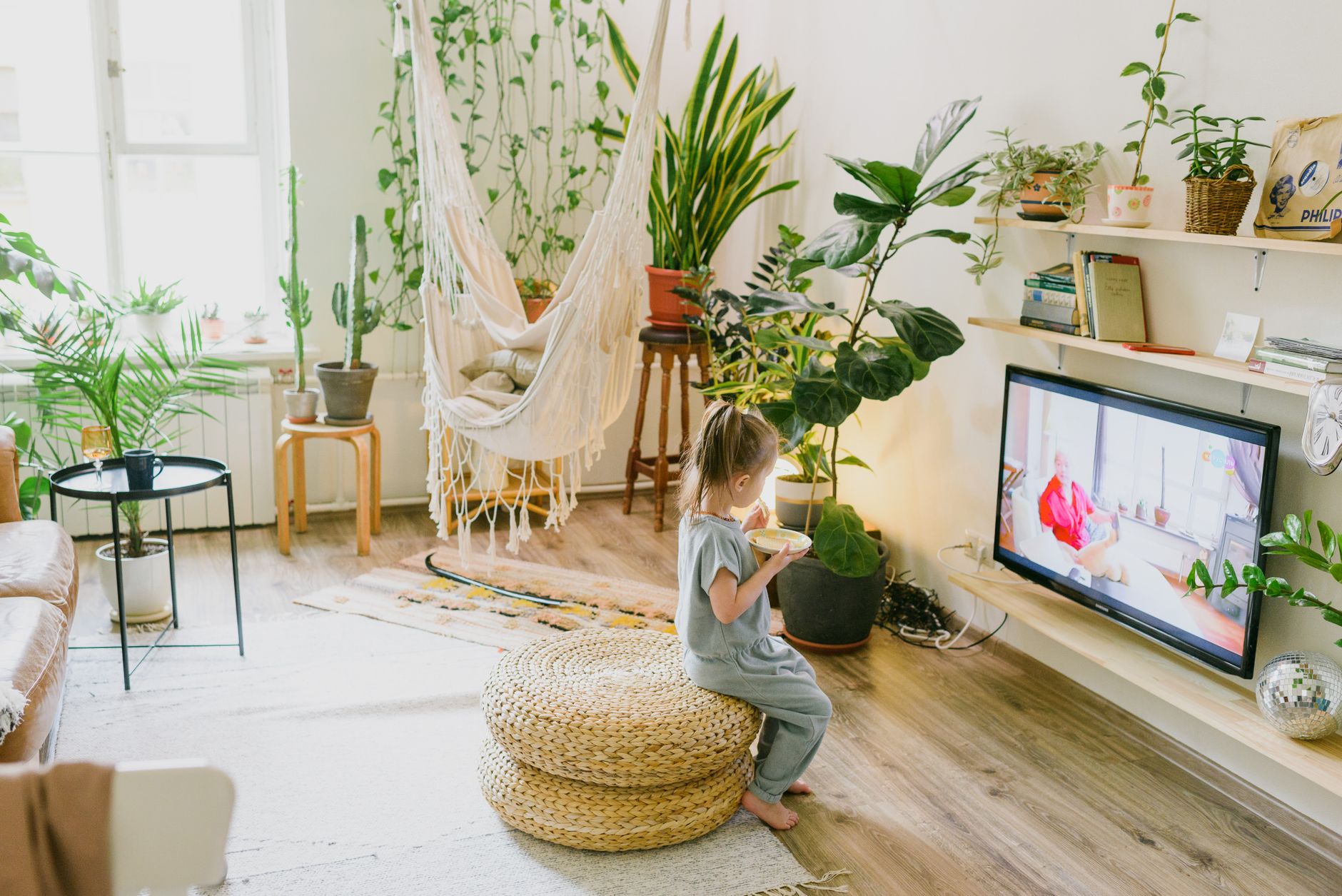 Decorate With Indoor Plants