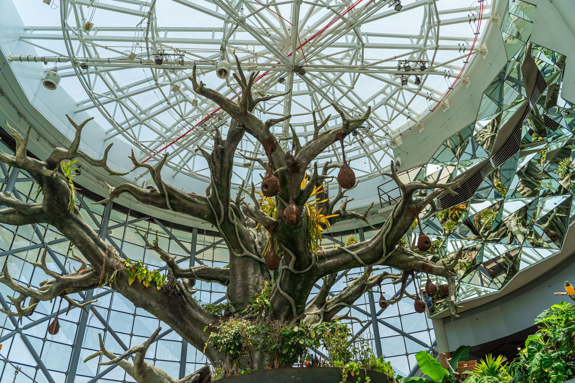 Educational Biodome